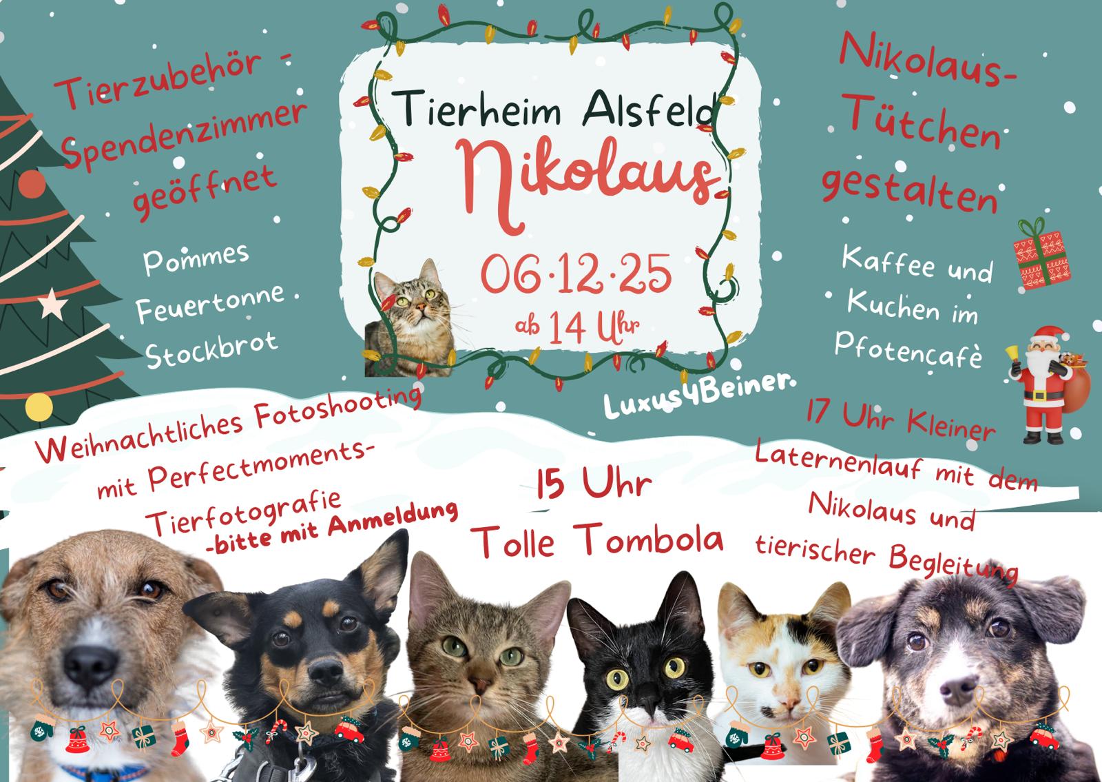 nikolaus 25