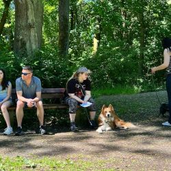 hundetrail-2