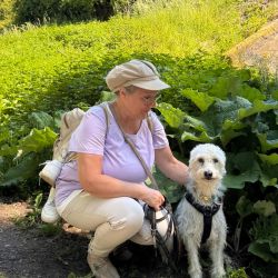 hundetrail-3