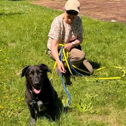 hundetrail-31