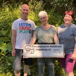 hundetrail-34