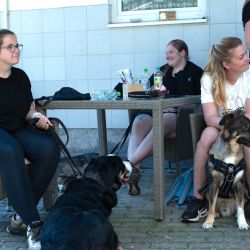 hundetrail-43