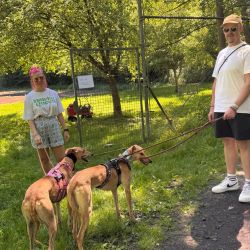 hundetrail-6