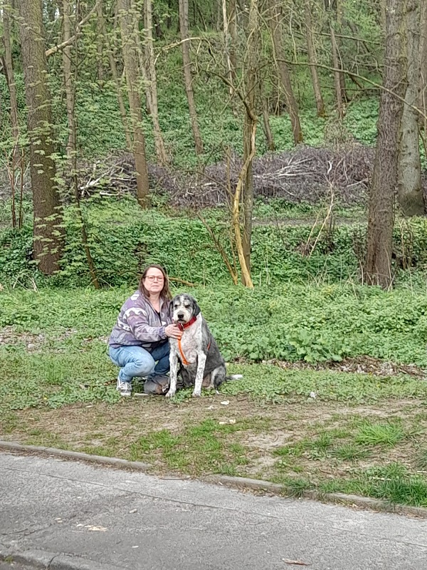 Berik Hundefriseur 2