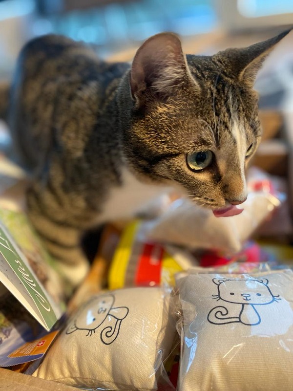 Spenden Monika Lettau 2