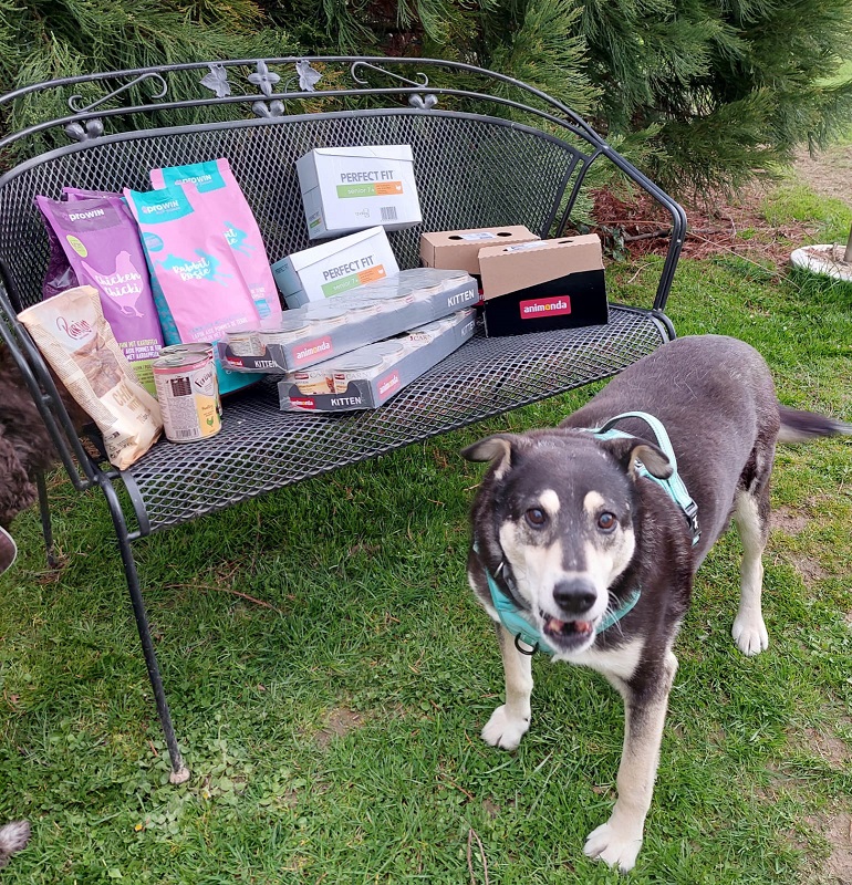 Spende Astrid Huf Blum 1