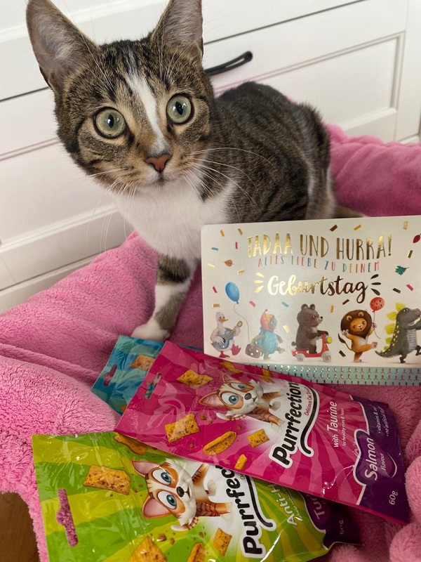 Spende Iris Kittner 3