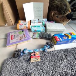 Spende_Susanne_Mikschy