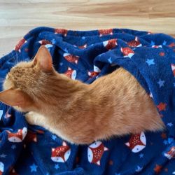 Spenden_Susanne_Mikschy_2