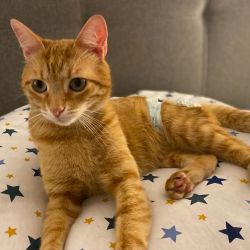 Spenden_Susanne_Mikschy_3