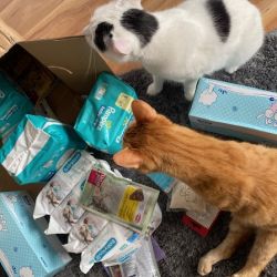 Spenden_Paten_Sturm_1