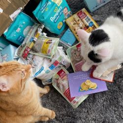 Spenden_Paten_Sturm_2