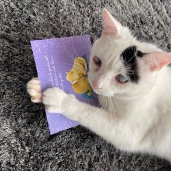 Spenden_Paten_Sturm_3