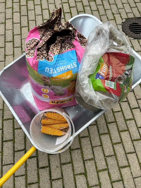 Spende Daniela Freitag