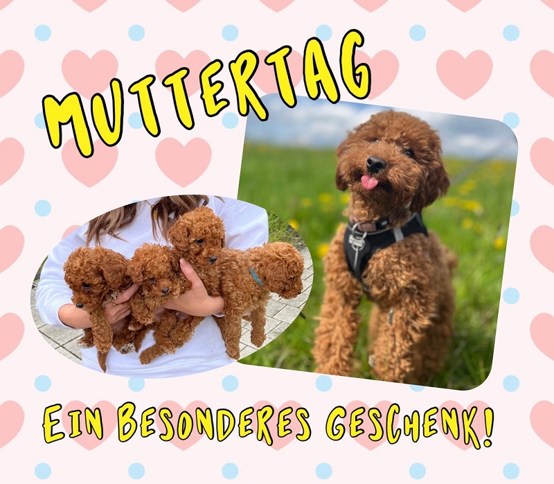 Muttertag