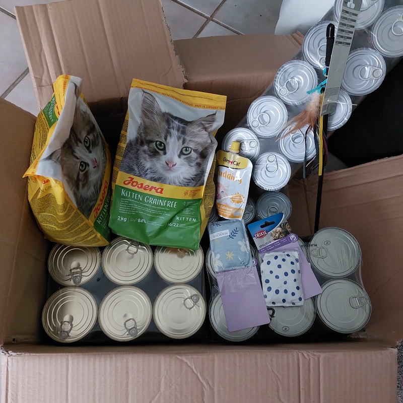 Spende Sarah und ihre Katzen