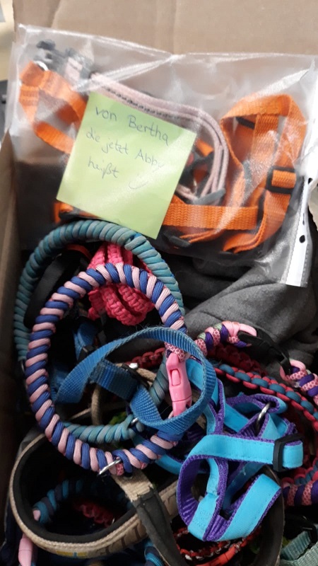 Spende Stefanie Schanze