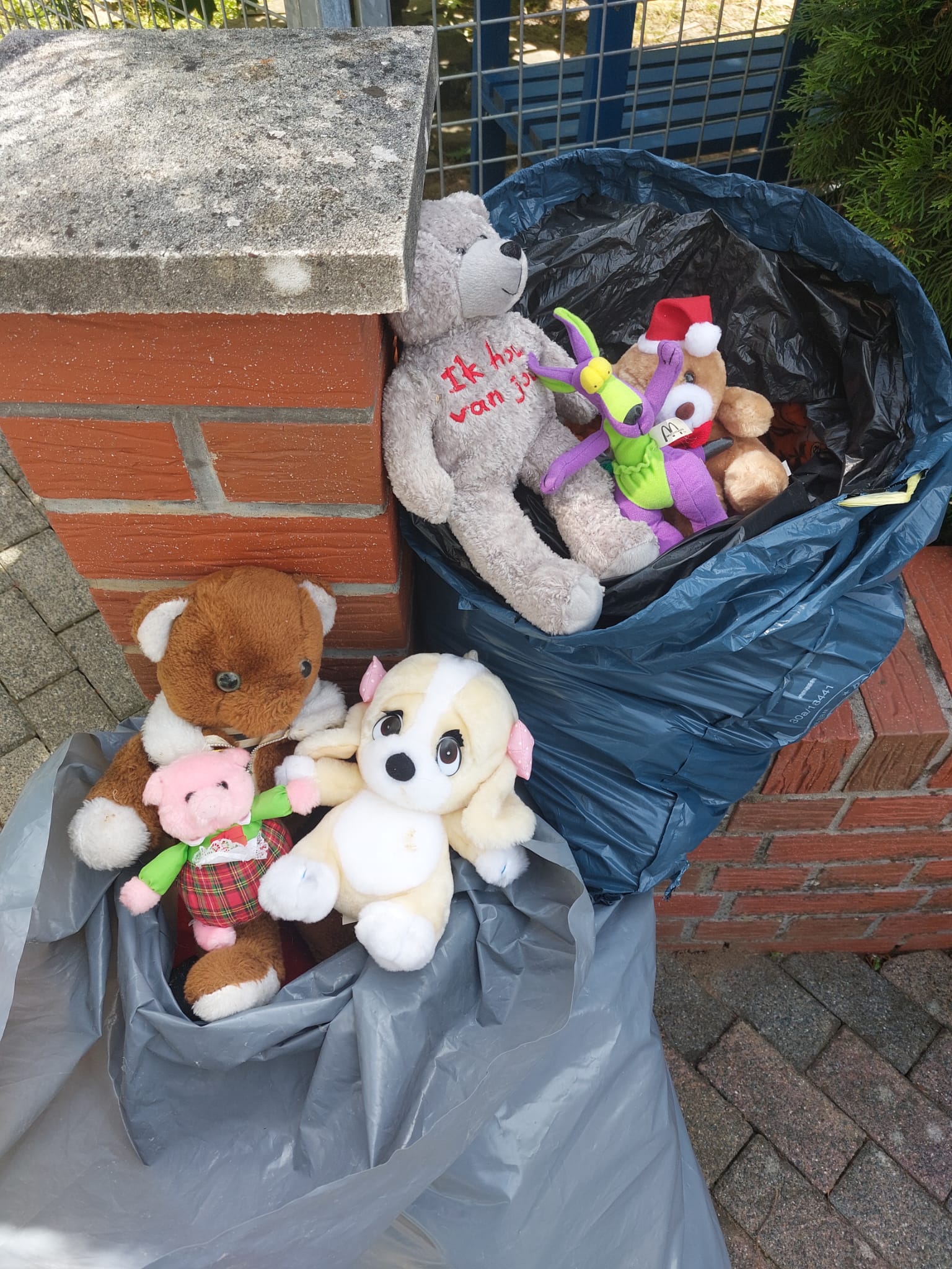 Spende Tanja Altenbrand Vockenrod