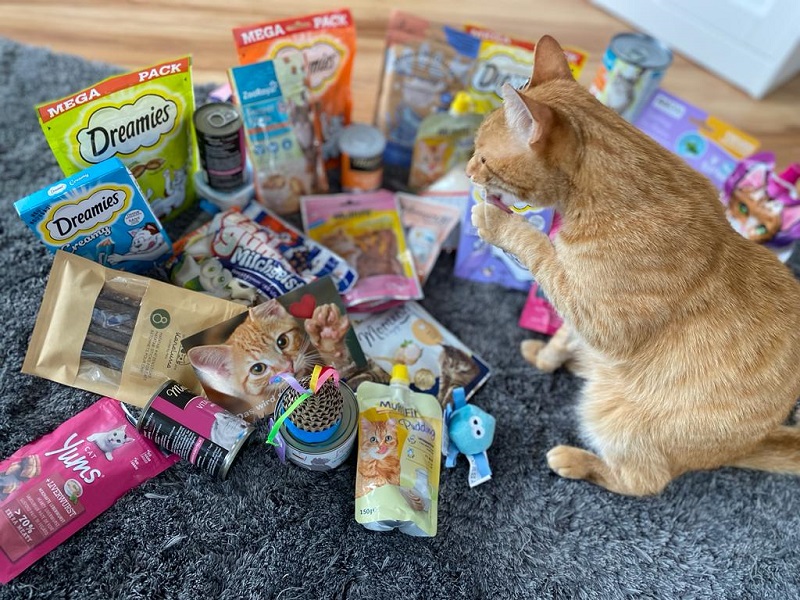 Knpfchen Spende Frau Muhly