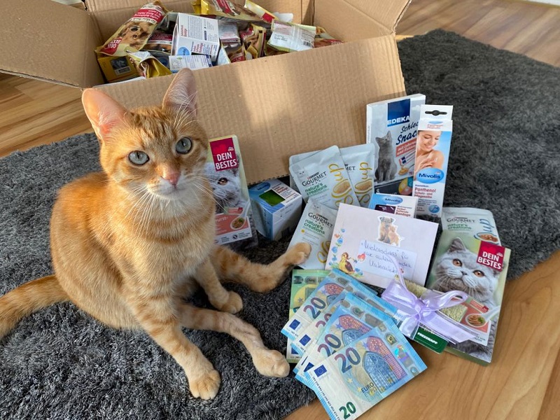 Knpfchen Spende Rajakovic