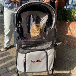 Ausflug_Prinzessin_2