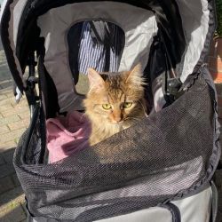 Ausflug_Prinzessin_3