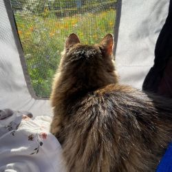 Ausflug_Prinzessin_5