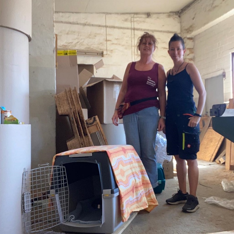 Einfangaktion Alsfeld 4