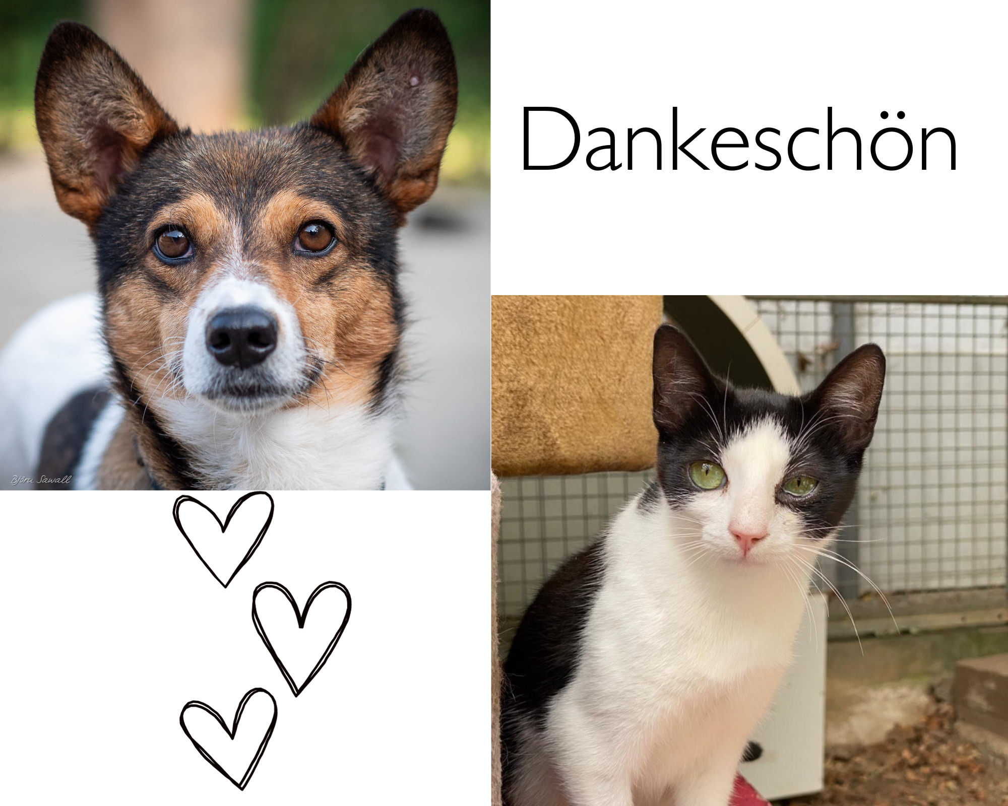 Dankeschn fr die lieben Spenden