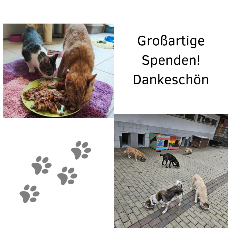 Wei sthetisch Grafik Design Instagram Post