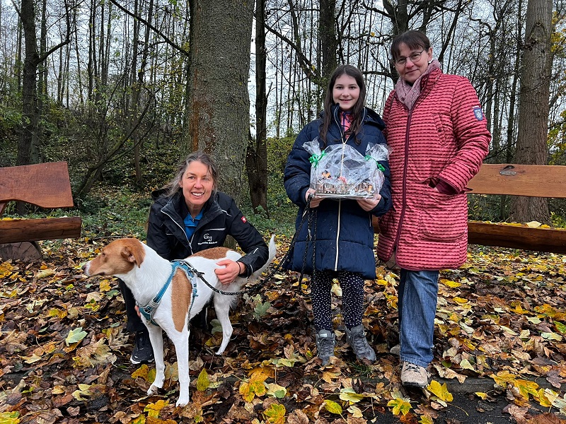 Spende Sternschnuppe 1