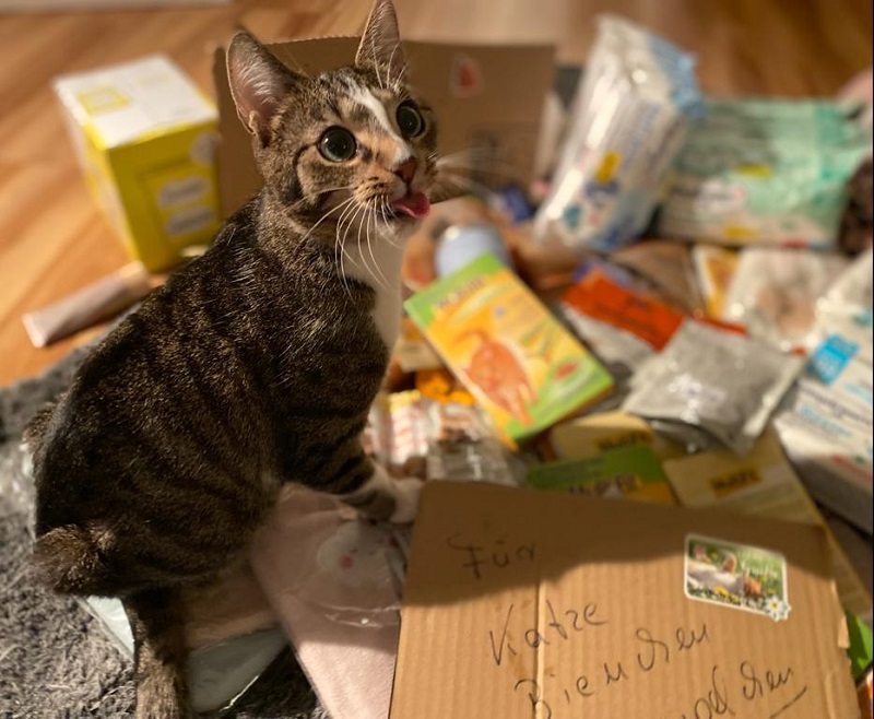 Spende Monika Lettau 4