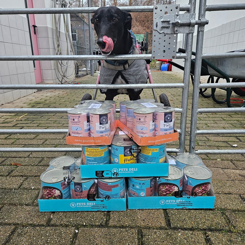 Spende Alice Helen und Henry