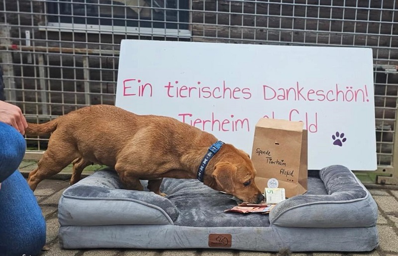 Spende Melanie Faust 1