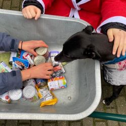 Schler_fr_Tiere_Nikolaus_4