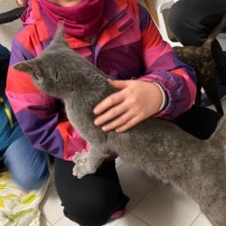 Schler_fr_Tiere_Nikolaus_5