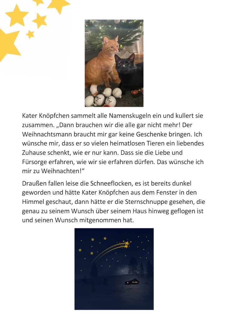 Knpfchen und die Weihnachtskugel10