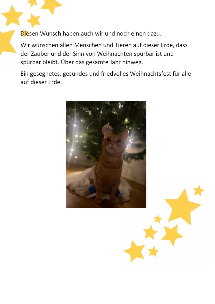 Knpfchen und die Weihnachtskugel11