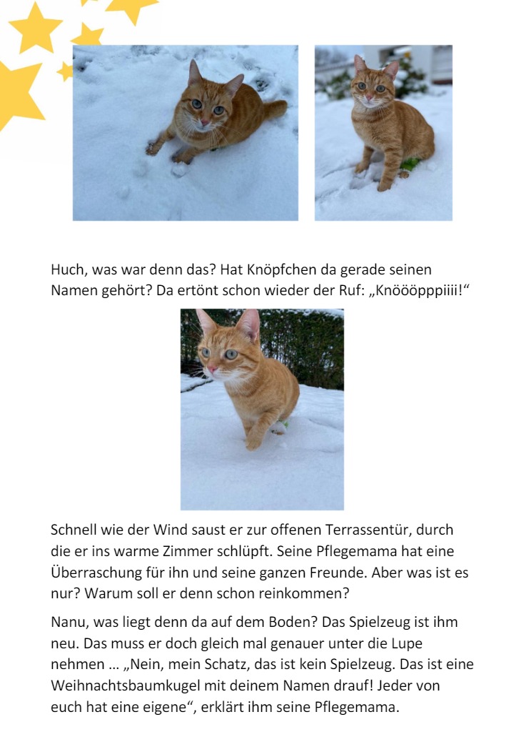 Knpfchen und die Weihnachtskugel2