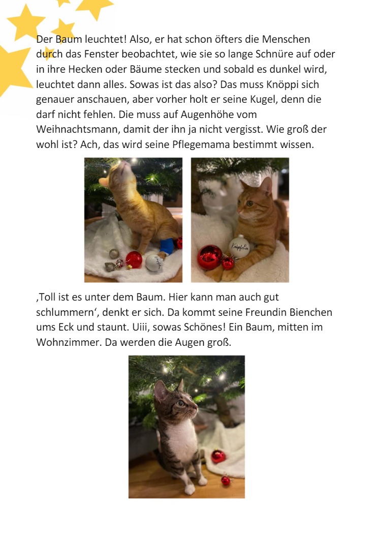Knpfchen und die Weihnachtskugel5