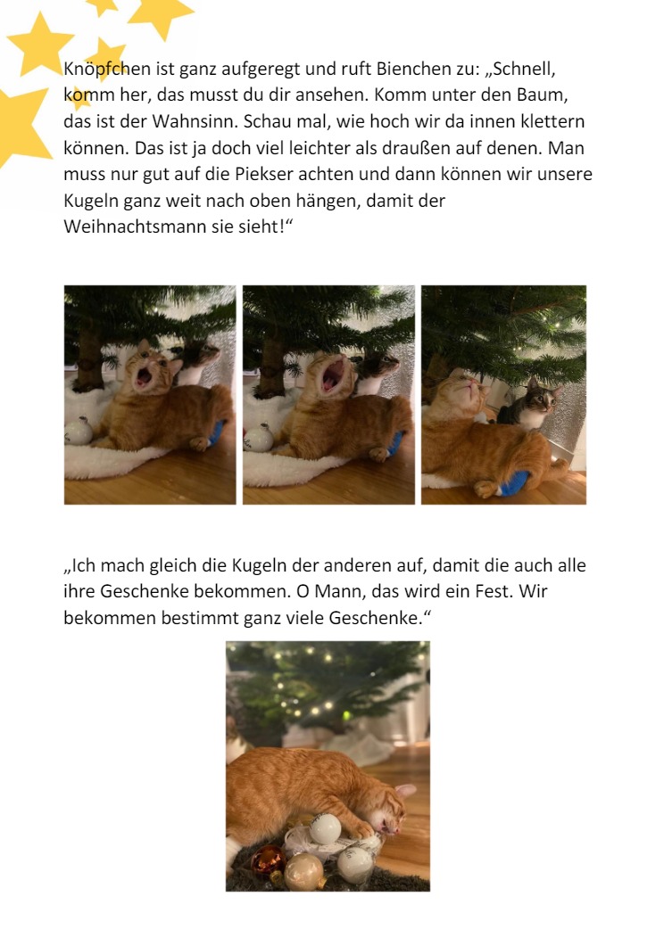 Knpfchen und die Weihnachtskugel6