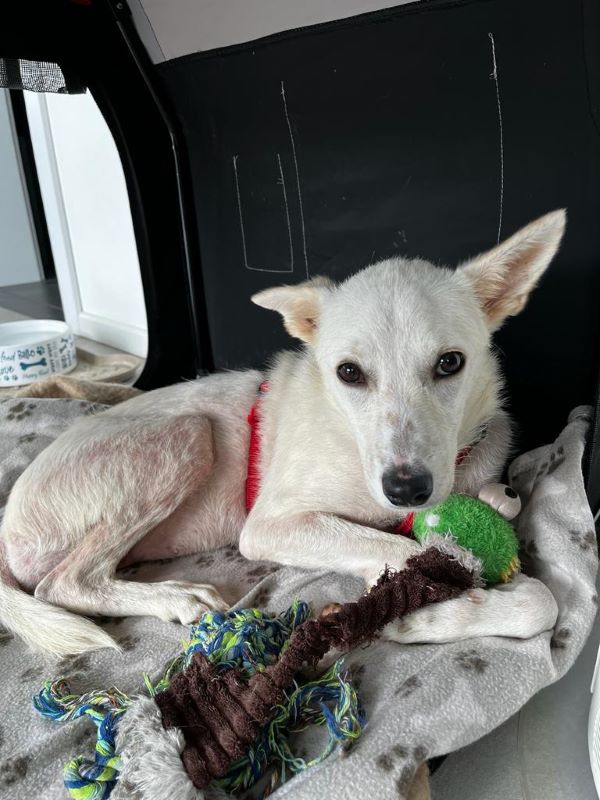 Tuula Trainingsstelle