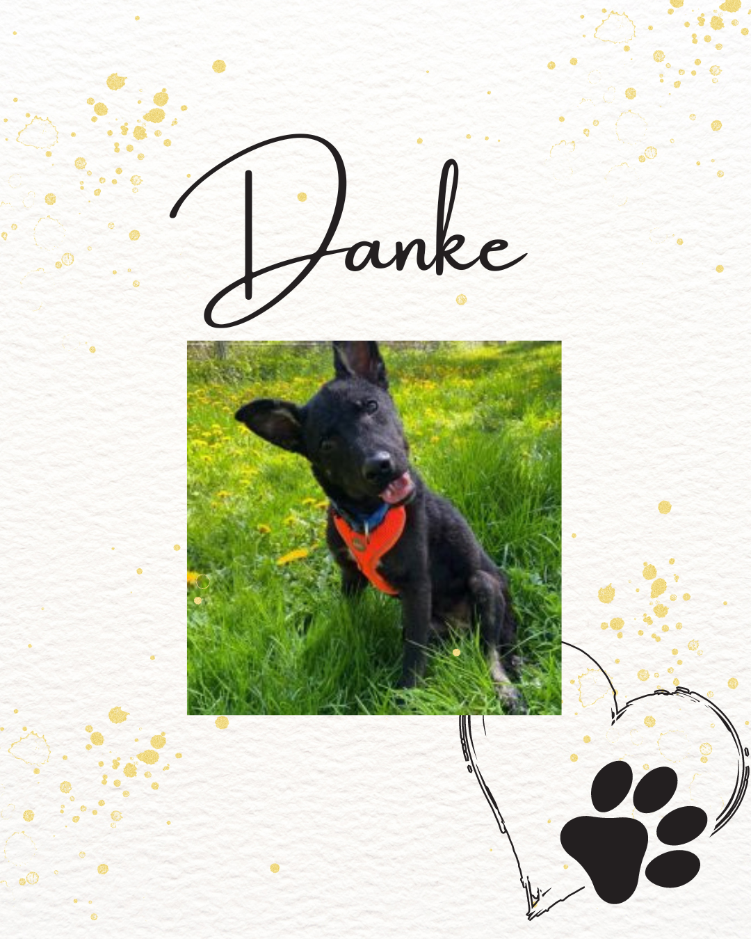 Gold Grn Minimalistisch Elegant Organisch Hochzeit Danke Instagram Post