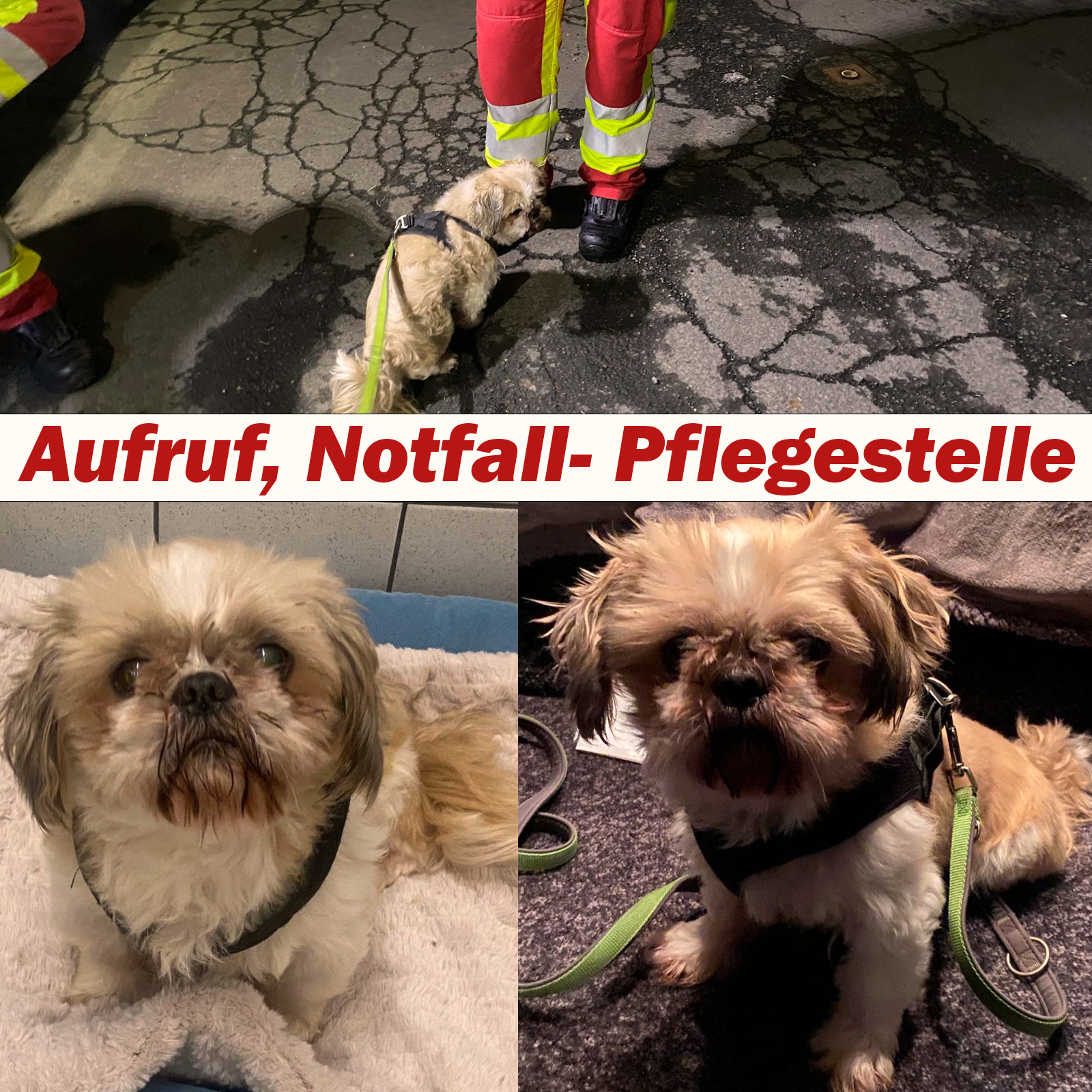 notfall kruemel