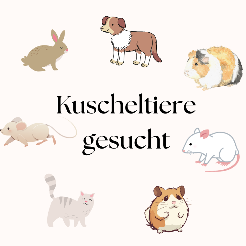 Kuscheltiere