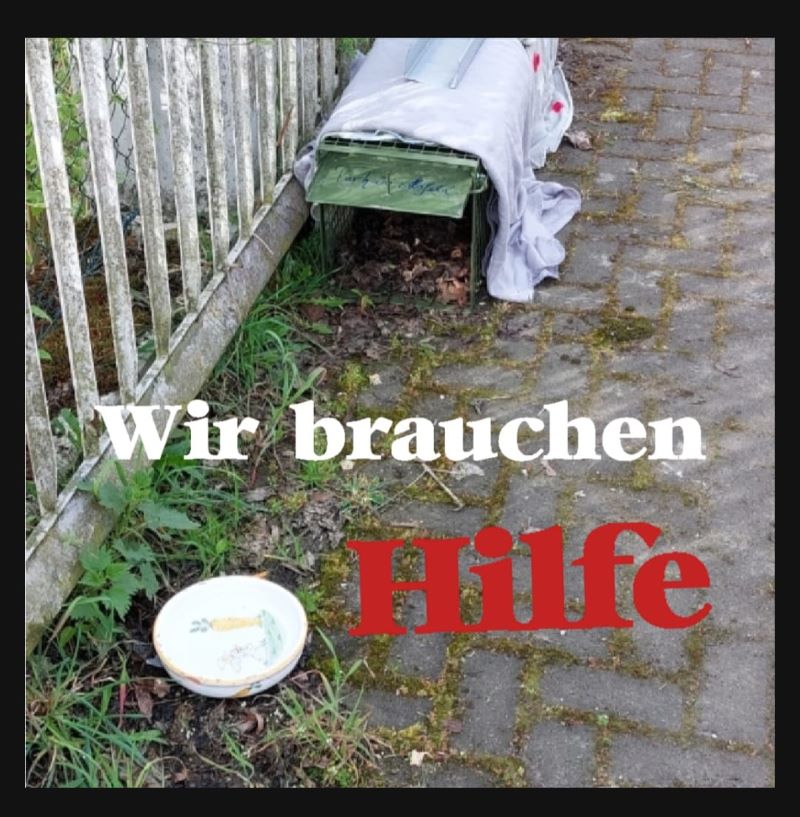 Sicherung