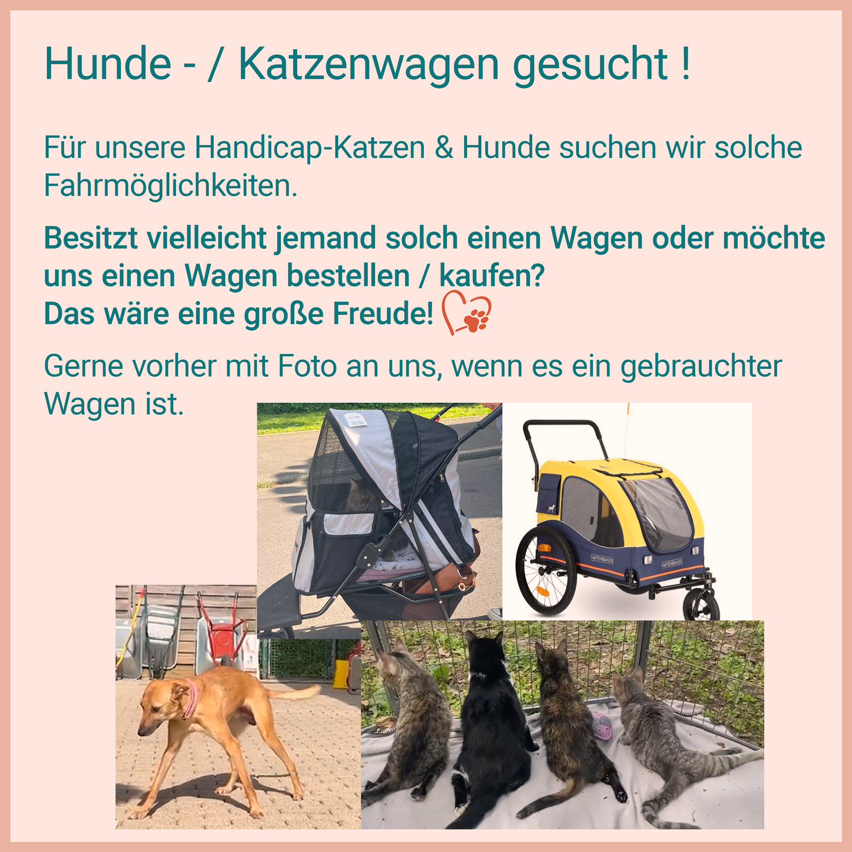 wagen gesucht