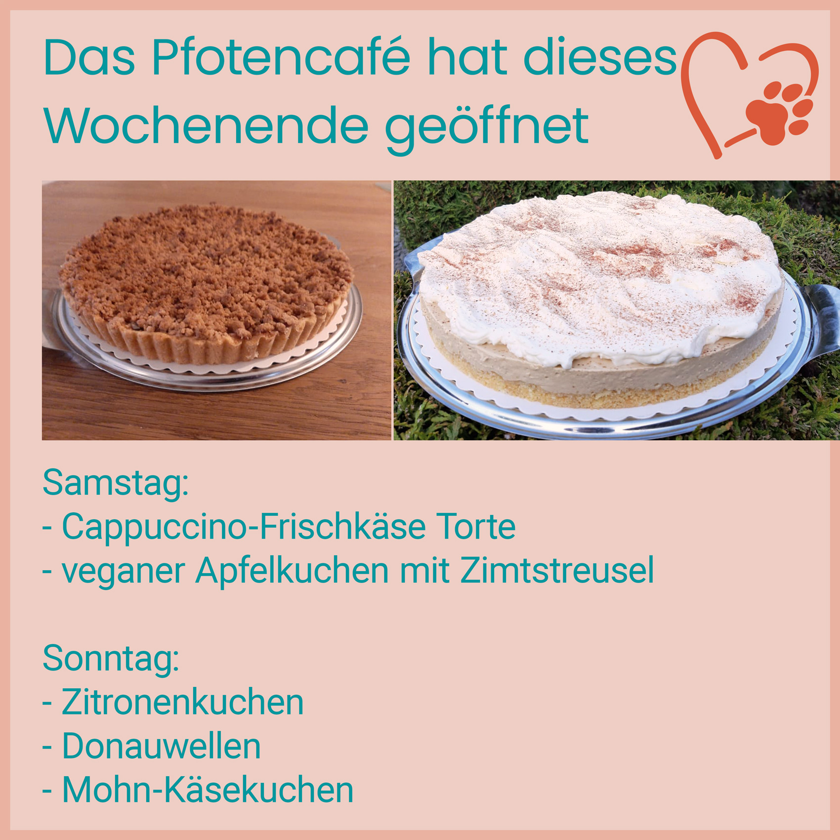 Pfotencafe 11 05