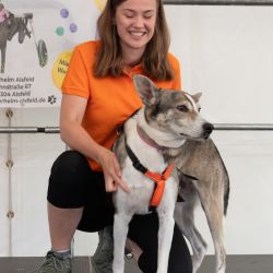 sommerfest-hunde_8_von_9