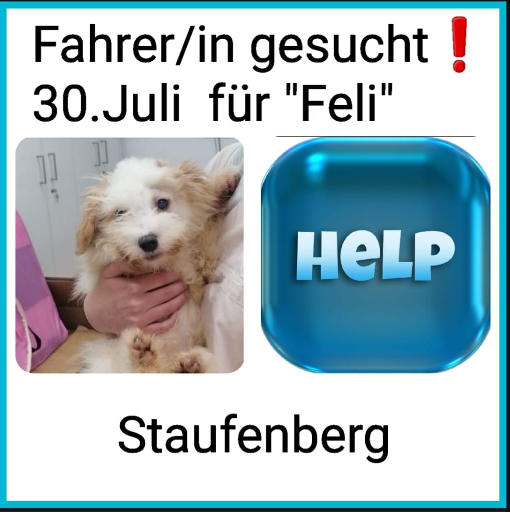 fahrer gesucht